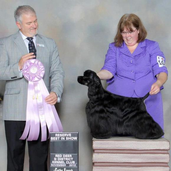 Meet your Posher, Joanne - Picture 1 of 1